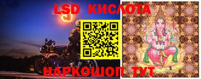 скорость Кингисепп