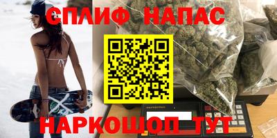 скорость Кингисепп