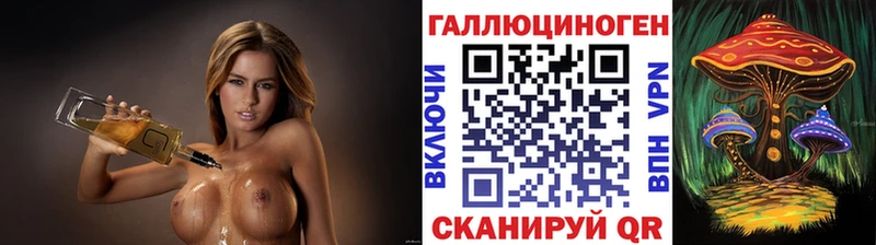 где можно купить наркотик  Лесосибирск  Галлюциногенные грибы Psilocybe 