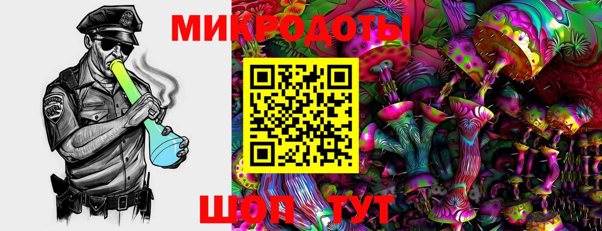 Псилоцибиновые грибы Psilocybine cubensis Лесосибирск