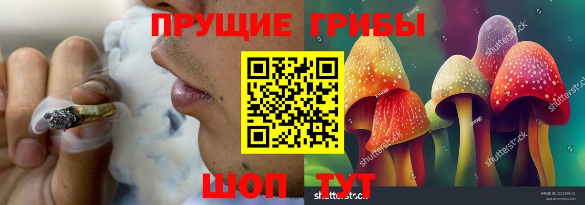 Лесосибирск  Псилоцибиновые грибы ЛСД  Вход с VPN  Псилоцибиновые грибы прущие грибы 